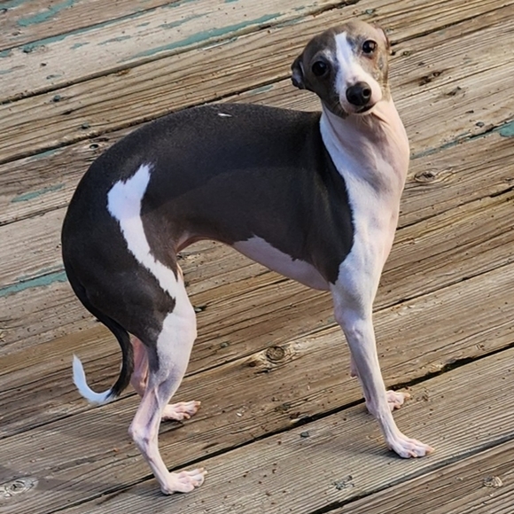 Meet your Posher, Mary - Picture 1 of 1